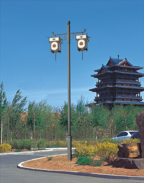 麻豆电影在线观看照明5米双头双头仿古庭院灯图片