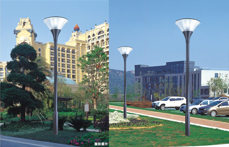 麻豆电影在线观看照明(QDTYD-010)3米-5米单头广场庭院灯效果图片